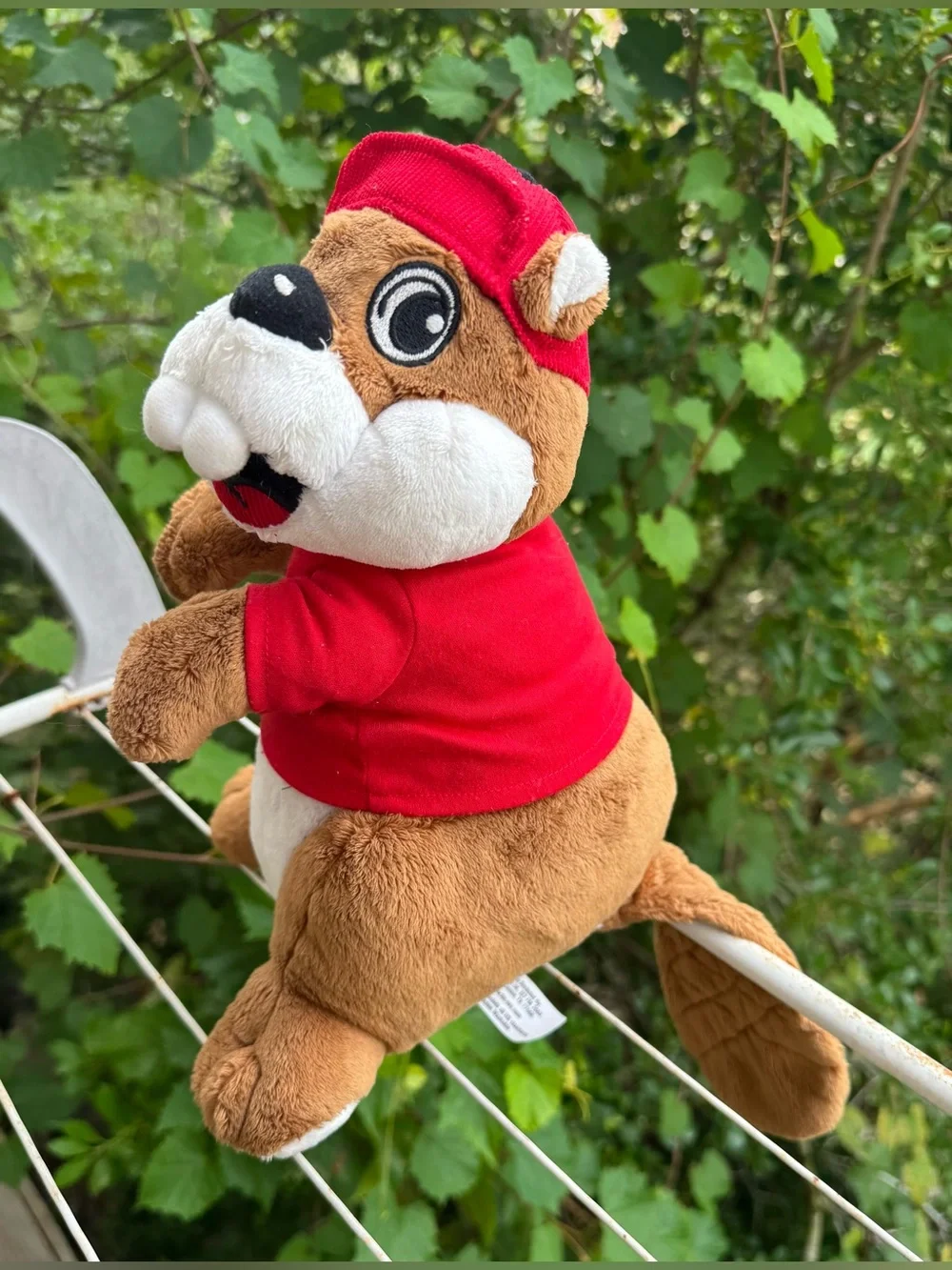 Buc-ees buc ee